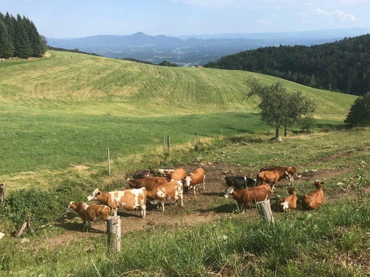 Apartments Planina Pod Sumikom Planina pod Sumnikom Екстер'єр фото