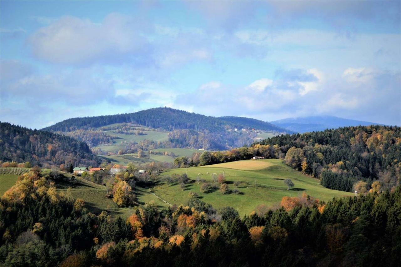 Apartments Planina Pod Sumikom Planina pod Sumnikom Екстер'єр фото